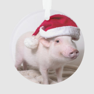 Marinez le mini ornement de Noël de porc