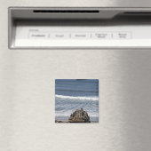 Mariniers verwachten de komst magneet (Insitu (Vaatwasser))