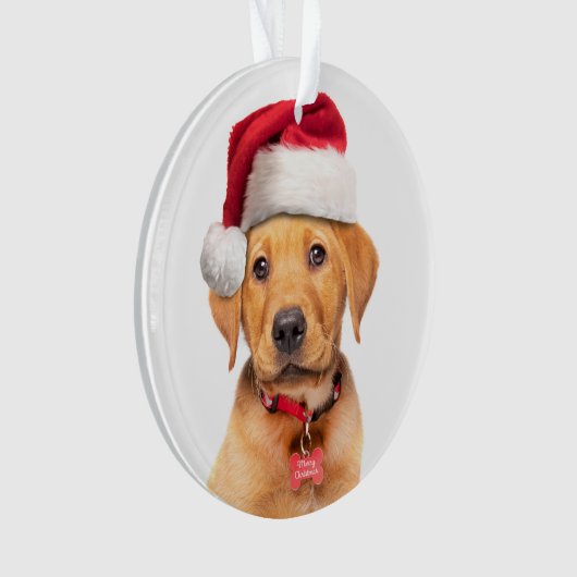 Marionnette de Noël Labrador à Santa Hat (devant)