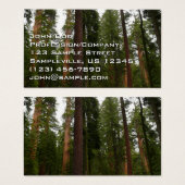 Mariposa Grove dans le parc national de Yosemite (Devant & derrière)