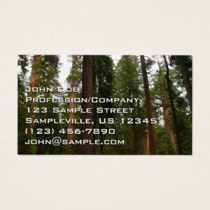 Mariposa Grove dans le parc national de Yosemite