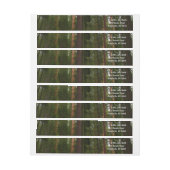 Mariposa Grove in Yosemite National Park (Vel)