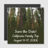 Mariposa Grove in Yosemite National Park (Voorkant / Achterkant)