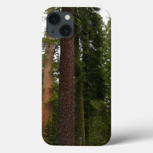 Mariposa Grove in Yosemite National Park iPhone 13 Hoesje
