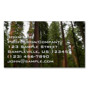 Mariposa Grove in Yosemite National Park Magnetisch Visitekaartje