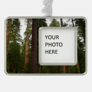 Mariposa Grove in Yosemite National Park Verzilverd Kader Ornament