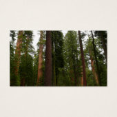 Mariposa Grove in Yosemite National Park Visitekaartje (Achterkant)