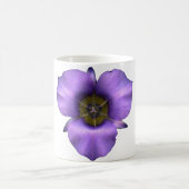 Mariposa Lily Mok (Center)