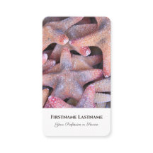 Maritiem zee ster zeesterren reisagent experts