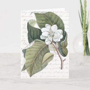 Mark Catesby Magnolia Collage w / Essay over bloem Kaart