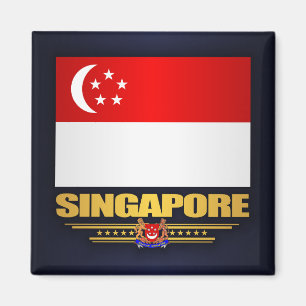Markering van Singapore Magneet