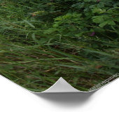 Marlboro Beach, affiche du Maine (Coin)