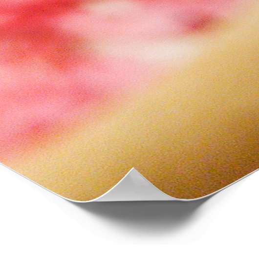 Marley Cherry Blossom Pedals Poster (Hoek)