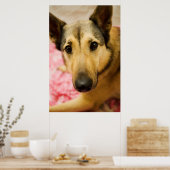 Marley Cherry Blossom Pedals Poster (Keuken)