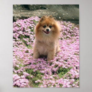 Marley met Poster met roze bloemen