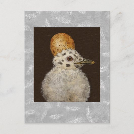 Marley the baby seagull briefkaart (Voorkant)