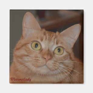 Marmalady en "The Smile" Magneet
