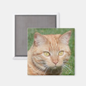 Marmalady in de zon magneet (Voorkant / Achterkant)