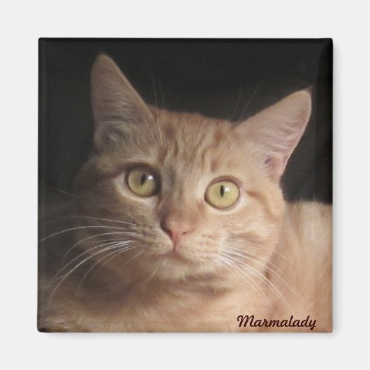 Marmalady Magnet (Devant)