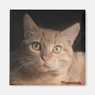 Marmalady Magnet Magneet