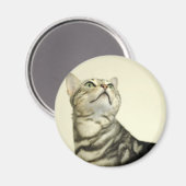 Marmer Bengalen Kat Magneet (Voorkant / Achterkant)