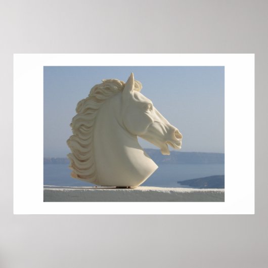 Marmerpaard Poster (Voorkant)