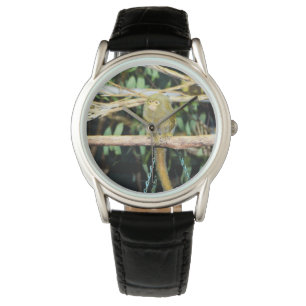 Marmoset-aap op een bijkantoor, horloge