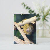 Marmoset Monkey Hi Daar, Briefkaart (Staand voorkant)