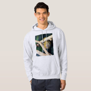 Marmoset Monkey Hi Daar, Mannen Hoodie