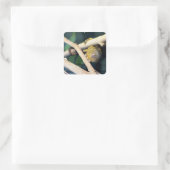 Marmoset Monkey Hi There, Stickers (Sac)