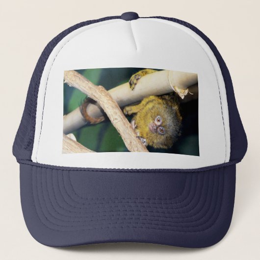 Marmoset Monkey Hi There, Truckers Casquette (Devant)