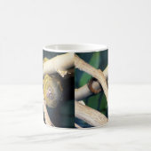 Marmoset Monkey Salut Là, Mug De Café (Centre)