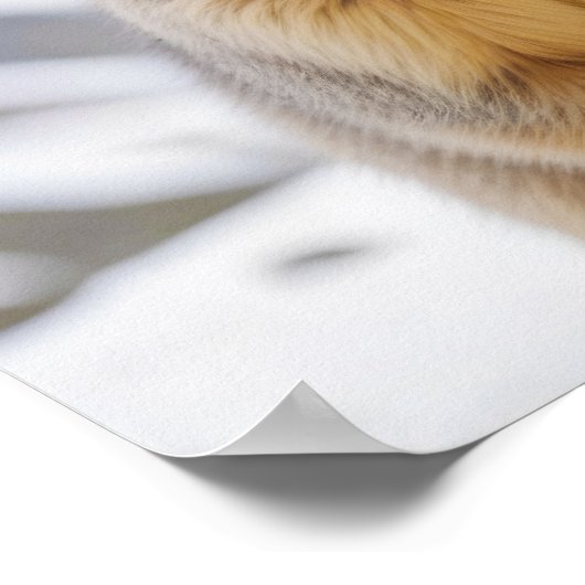 Marmot Animal Natuur Wildlife Affection Caring Poster (Hoek)