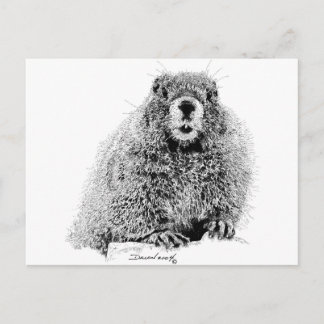 Marmot Briefkaart