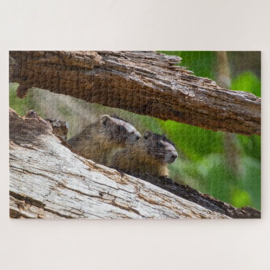 Marmot Brothers Legpuzzel (Horizontaal)