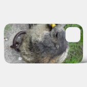 Marmot coque ipad (Verso (horizontal))