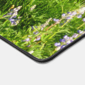 Marmot dans le Mont Rainier Fleurs sauvages (Coin)