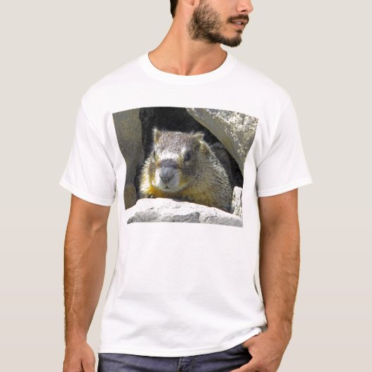 Marmot dans le T-shirt de repaire de roche (Devant)