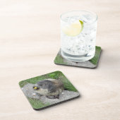 Marmot dessous de verre (Côté Droit)