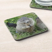 Marmot dessous de verre (Côté gauche)