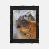 marmot fleece deken (Voorkant)