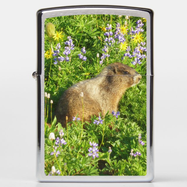 Marmot in Mount Rainier Wildbloemen (Voorkant)