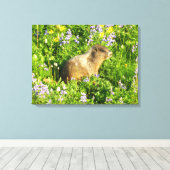 Marmot in Mount Rainier Wildbloemen Canvas Afdruk (Insitu (Houten vloer))