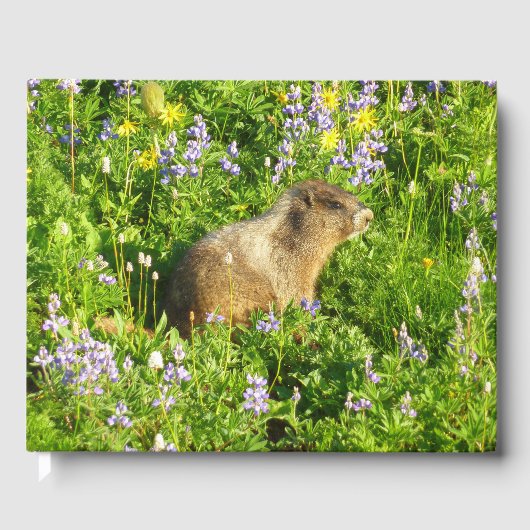 Marmot in Mount Rainier Wildbloemen Gastenboek (Voorkant)