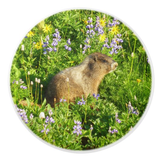 Marmot in Mount Rainier Wildbloemen Keramische Knop (Voorkant)
