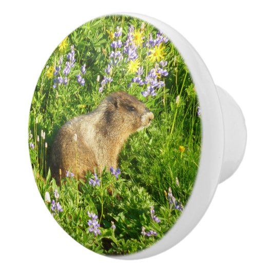Marmot in Mount Rainier Wildbloemen Keramische Knop (Rechts)