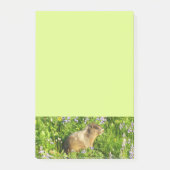 Marmot in Mount Rainier Wildbloemen Post-it® Notes (Voorkant)