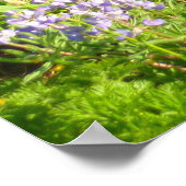 Marmot in Mount Rainier Wildbloemen Poster (Hoek)