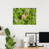 Marmot in Mount Rainier Wildbloemen Poster (Thuiskantoor)