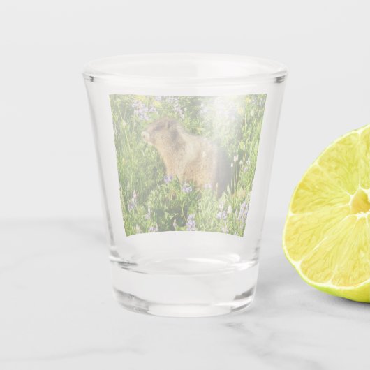 Marmot in Mount Rainier Wildbloemen Shot Glas (Achterkant)